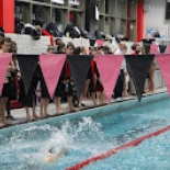 Flags over the pool