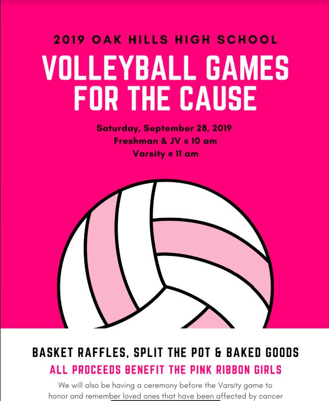 Volleyball Pink Games